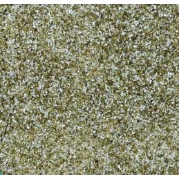 Baseino filtro stiklas