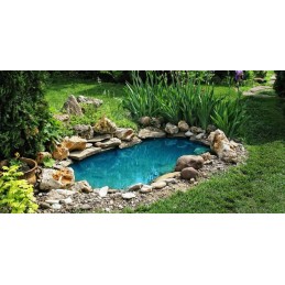 Baseino filtro stiklas