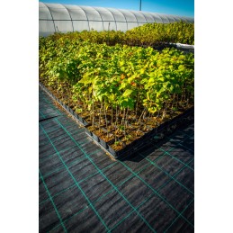 Juoda agrotekstilė 3,20 m x 10 m labai tvirta 110 g šlaitui po žievės akmeniu