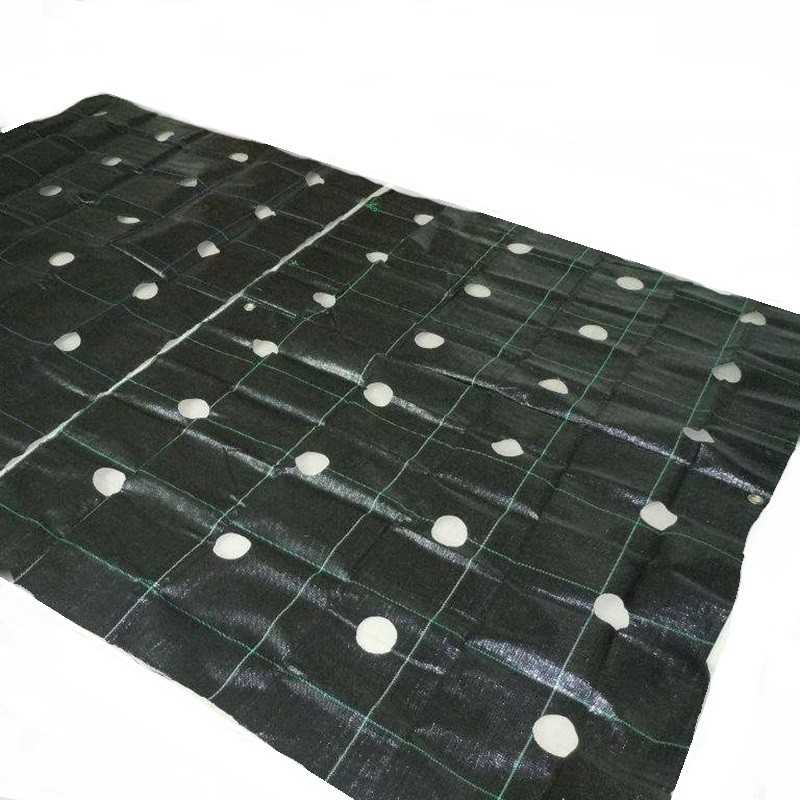 Agroaudimas piktžolėms su skylutėmis 160cm pločio