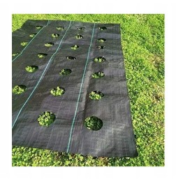 Agroaudimas piktžolėms su skylutėmis 160cm pločio