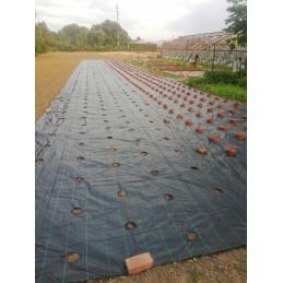 Agrot audinys, skylutės daigams, 1,6 x 10 m, storis, 95g