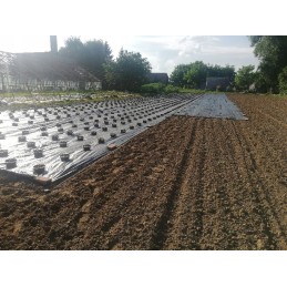 Agrot audinys, skylutės daigams, 1,6 x 10 m, storis, 95g