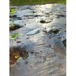 Agrotkanina nuo piktžolių kilimėlio heva | ritinys 1,6x50m, svoris 70g/m2