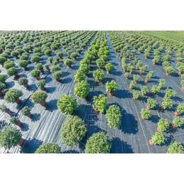 🌟_xDF1F_ labai storas agritella premium mulčiavimo audinys 110g 0,8x50m juodas