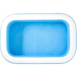 Bestway sodo pripučiamas baseinas 262x175x51cm 54006
