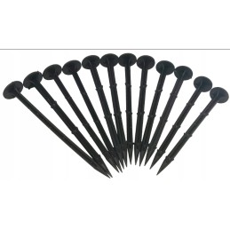 ⭐️ Kurkite puikius