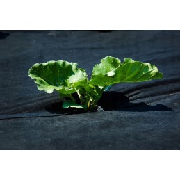 ⭐⭐uv agrotekstilė p-100g/m2 1,6x15m juodo storio!!!⭐⭐