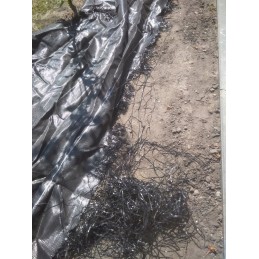 Juodos agrotekstilės saulėtekio standartas uv70 + kaiščiai
