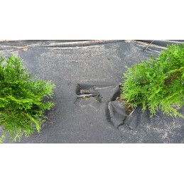 Plonos sodo agrotekstilė 0,8 m x 100 m + 100 smeigtukų