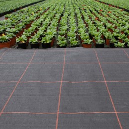 Polipropileno audinys agrola juodas 2m x 10m 100g/m2