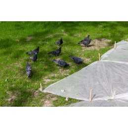 Agrotekstilė, šalčio danga, žieminė danga, 50g, balta, 1,1x5m