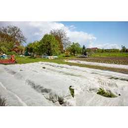 Agrotekstilė, šalčio danga, žieminė danga, 50g, balta, 1,1x5m