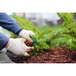 Lenkiška, žalia agrotekstilė fiberina premium 50g 0,8x100m