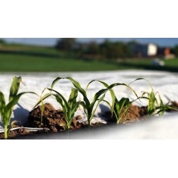 Pavasarinė agrotekstilė p-17 balta 1,6x100m biovita