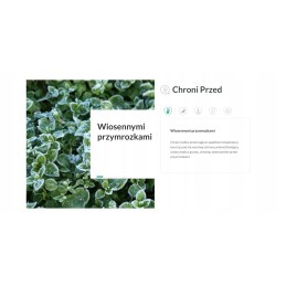 Balta agrotekstilė 19g-