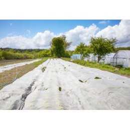 Agrotekstilė, balta, sodo spyruoklinis kilimėlis, 1,1 x 10 m, atsilikimas dengimui