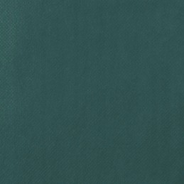 Apsauginis gaubtas augalams su užtrauktuku 70 g m2 3 14x2 5 m