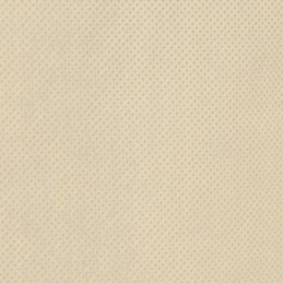 Apsauginis gaubtas augalams su užtrauktuku 70 g m2 3 14x2 5 m