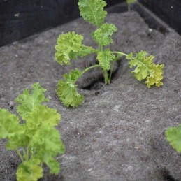 Vilnonis audinys nuo piktžolių 150x200cm - nelson garden