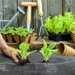 Agrotekstas 70g 0,8x100m