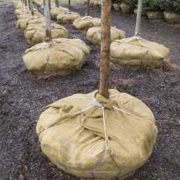 Stori džiuto maišeliai