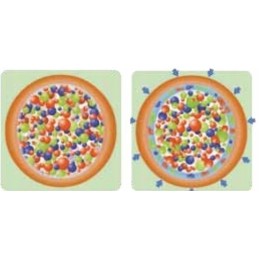 Augalinis audinys rudas p 50 uv 1 1m x 50mb gf agro