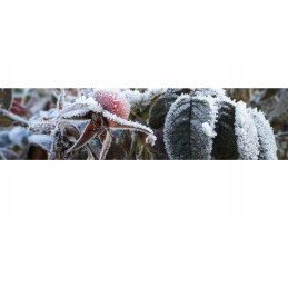 Agrotekstilės maišelis, apsauginis gaubtas, 100x155cm x10, 50g