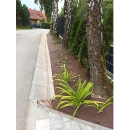 GF Agro nuo piktžolių agrotekstilė 1,6x50m rudas kilimėlis 50g + 100x smeigtukai