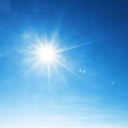 agrimpex agrotekstilė balta 1,6 m x 100 m 19 g/m²