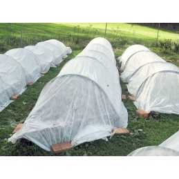 Žieminė agrotekstilė Bradas, balta, 1,6 x 5 m, 50 g/m²