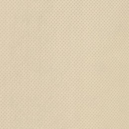 Apsauginiai gaubtai augalams užtrauktukas 2vnt 70 g m2 1 55x1 55 m