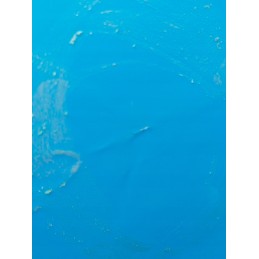 Vaikų sodo baseinas 6 pripučiami 2 žiedai 262x175x51cm bestway