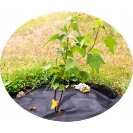 Storas žemės ūkio audinys agrarinis audinys wigofilis piktžolių kilimėlis 100g 1 6m x 30m