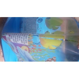 Išplėtimo baseinas 2 44m x h46cm bestway 55031