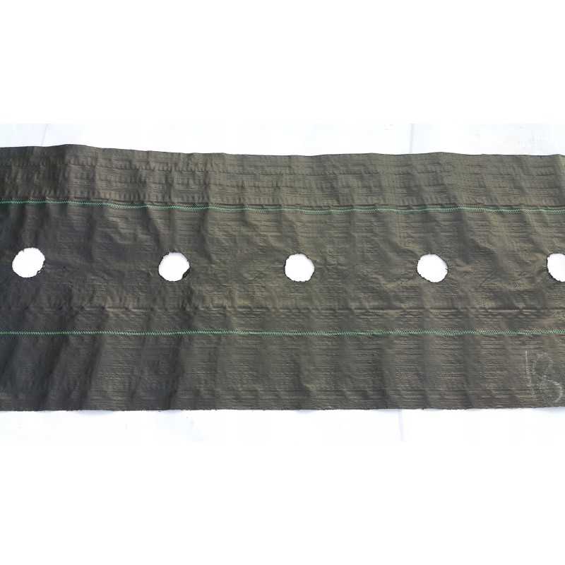 Agroaudimas piktžolėms su skylutėmis 160 cm x 5 metrai