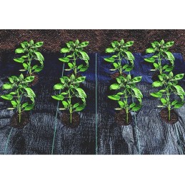 Agroaudimas piktžolėms su skylutėmis 160 cm x 5 metrai