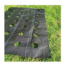 Agroaudimas piktžolėms su skylutėmis 160 cm x 5 metrai