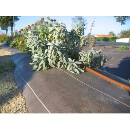 ⭐⭐Juoda agrotekstilė 1,1x50 uv70 sunrise nuo piktžolių agrotekstilė + kaiščiai⭐⭐