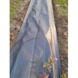 Stora nuo piktžolių agrotekstilė stora agrotekstilė 90g 1,1x100m 100x inkarai