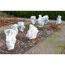 ✨ Lenkiškas apsauginis gaubtas, agrotekstilės maišelis, žieminis, 10 vnt