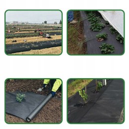 Agrotekstilė piktžolėms 100g kilimėlis 0,6 x 100m + kaiščiai