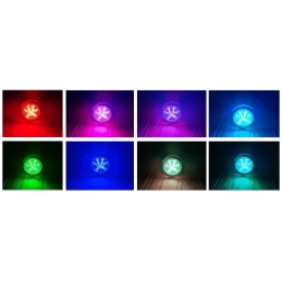 2 LED lemputės, žalvarinis valdiklis, pneumatinis SPA vonios mygtukas