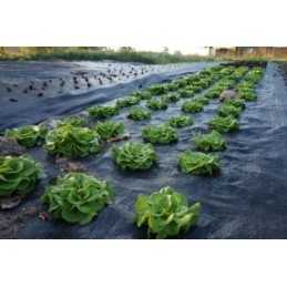 Agrotekstilė, agrotekstilė, storas, tvirtas kilimėlis, 0,8x5m