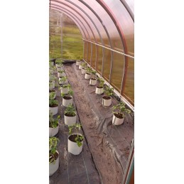 Agrotkanina kilimėlis nuo piktžolių | ritinys 1,1x50m