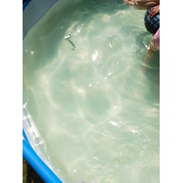 Galingas baseino dulkių siurblys baseinų ir tvenkinių valymui, 1400w, 30l