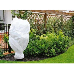 Augintas austas storas baltas žieminis 3 2x20m 50g m2