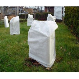 Augintas austas storas baltas žieminis 3 2x20m 50g m2