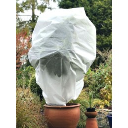 Augintas austas storas baltas žieminis 3 2x20m 50g m2