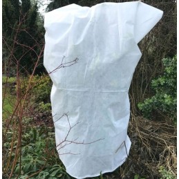 Augintas austas storas baltas žieminis 3 2x20m 50g m2